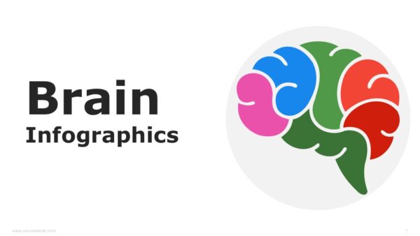 Creative Brain Infographics Presentation Templates