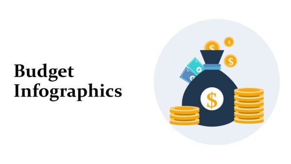 Finance Budget Infographics PPT PowerPoint Presentation