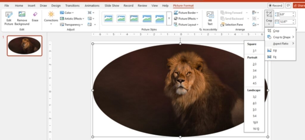 How to Mask Images in PowerPoint Step by Step Guide