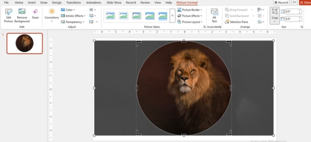 How to Mask Images in PowerPoint: Step by Step Guide