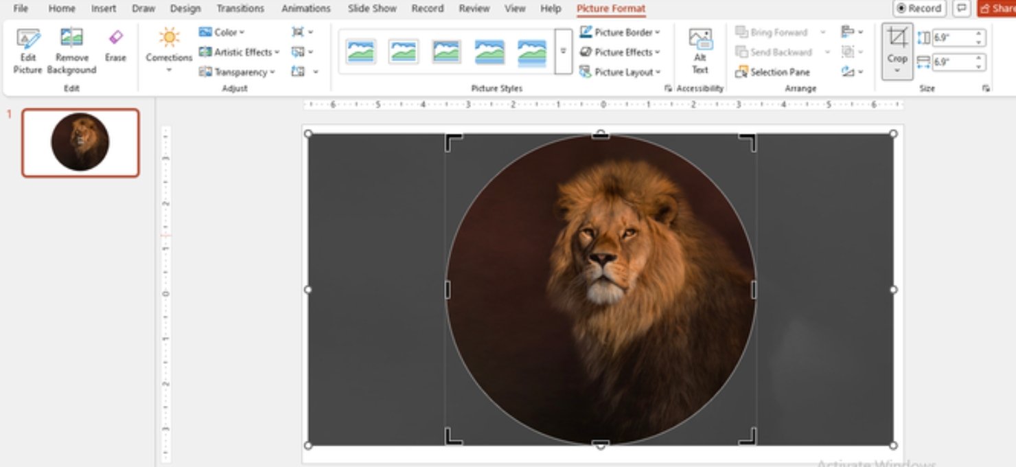 How to Mask Images in PowerPoint: Step-by-Step Guide 2026 Google Slides