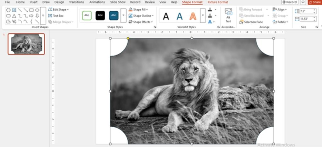 How to Mask Images in PowerPoint: Step by Step Guide