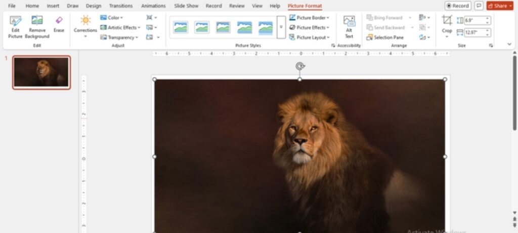 How to Mask Images in PowerPoint: Step by Step Guide