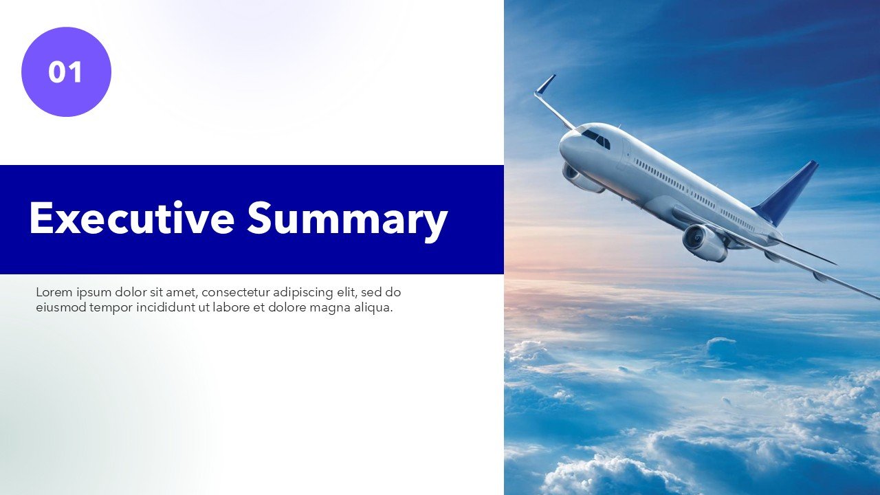 Free Airline Aviation Presentation PowerPoint and Google Slides