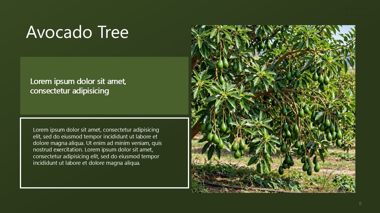 Free Happy USA Avocado Day November PowerPoint Templates and Google Slides