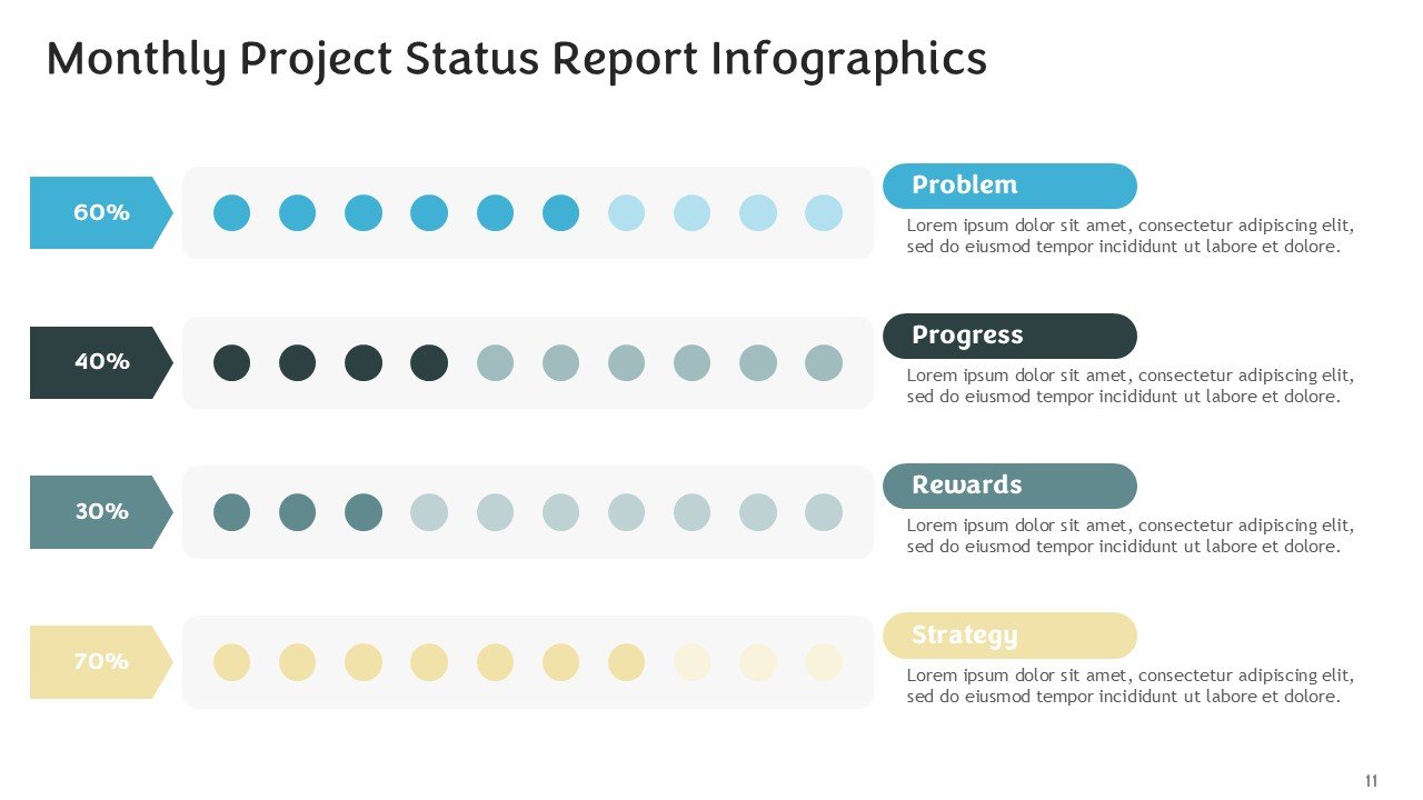 Monthly Project Status Report Infographics PPT and Google Slides
