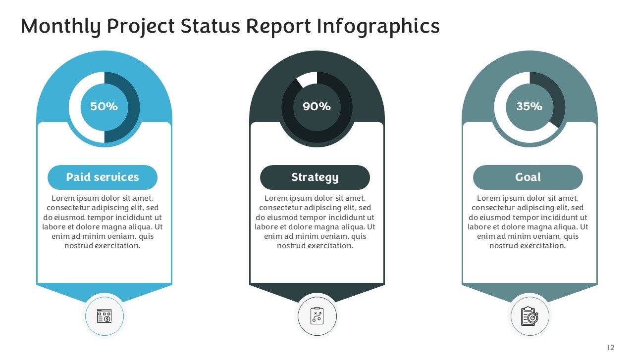 Monthly Project Status Report Infographics PPT and Google Slides