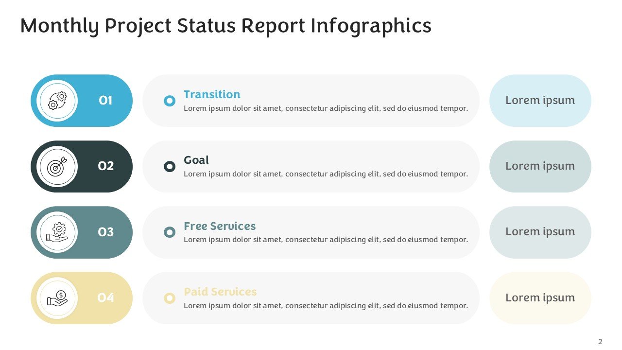 Monthly Project Status Report Infographics PPT and Google Slides