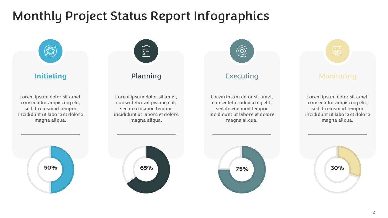 Monthly Project Status Report Infographics PPT and Google Slides