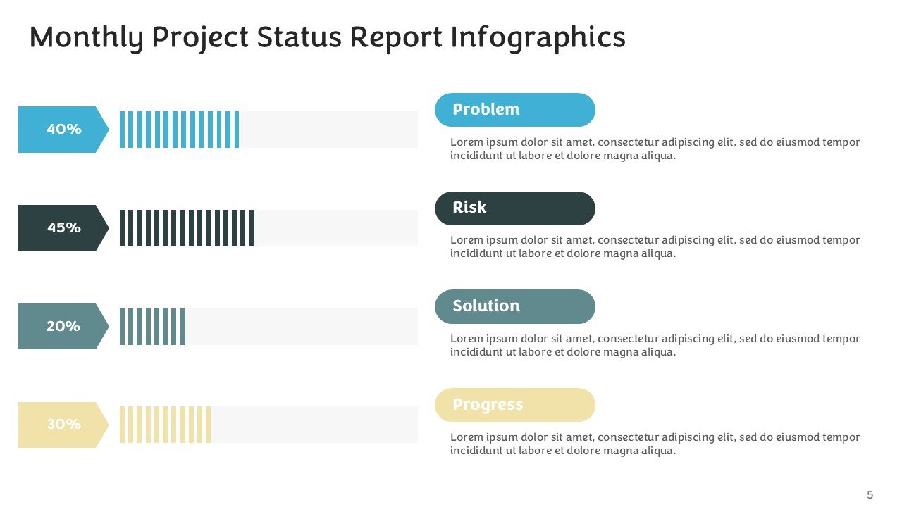 Monthly Project Status Report Infographics PPT and Google Slides