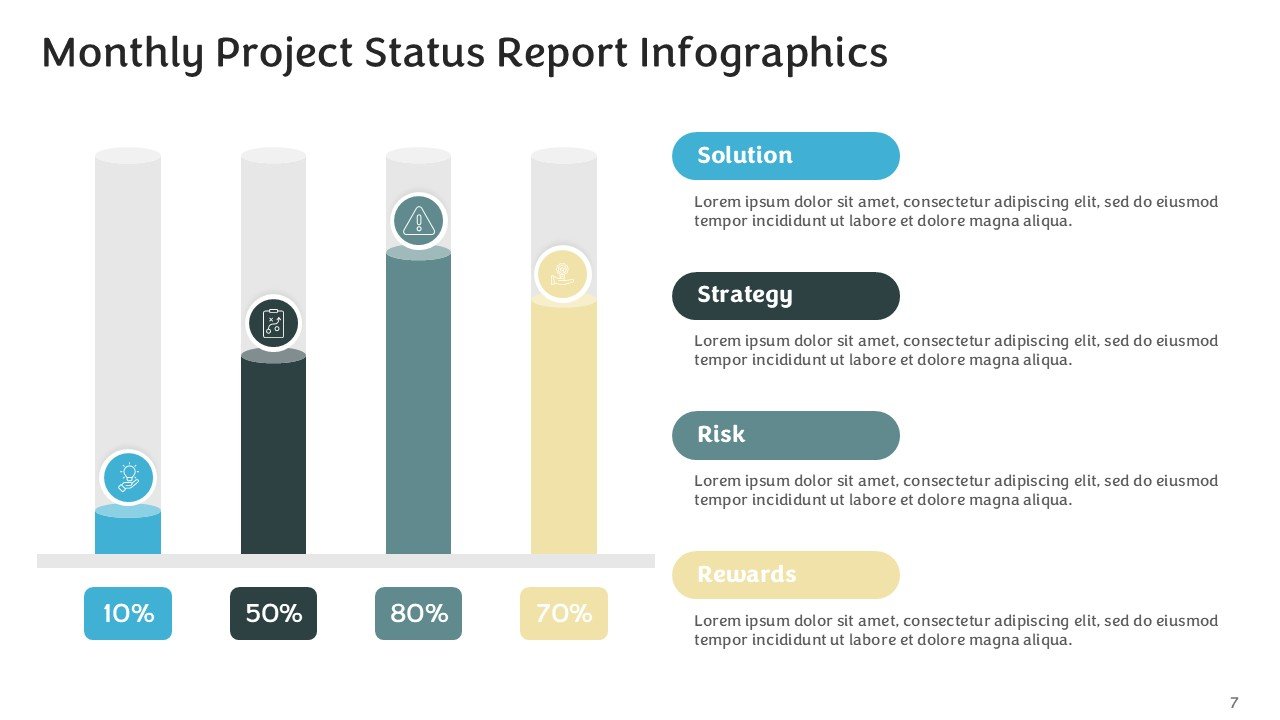 Monthly Project Status Report Infographics PPT and Google Slides