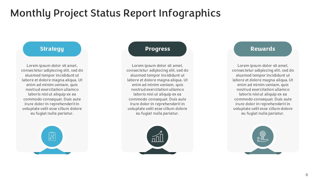Monthly Project Status Report Infographics PPT and Google Slides
